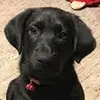 staceybain11 - @staceybain11 - TikTok
