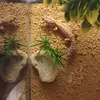 bainbridgestacy - @bainbridgestacy - TikTok