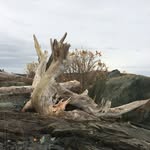 Stacy Bainbridge - @bainbridge.stacy - Instagram