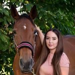 STACEY BALL - @staceyb_equestrian - Instagram