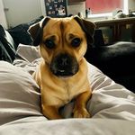 Stacey Ball - @staceyb83 - Instagram