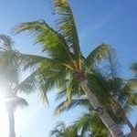 Stacy Barbour - @barbourstacy - Instagram