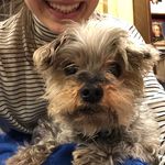 Stacey Barth - @staceybgb - Instagram
