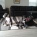 Stacy Beamon - Facebook