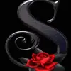 Stacey Belanger (1 chic that l - @stacey.belanger.1 - TikTok