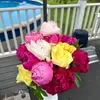 staceybelanger361 - @staceybelanger361 - TikTok