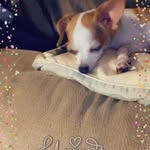 StaceyandJosh Bellamy - @josh_and_stacey_bellamy - Instagram