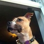 Stacey Best - @staceybest9679 - Instagram