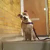 Stacey Best - @staceybest0 - TikTok