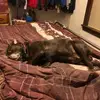 Stacey Beyer - @stacey.beyer0 - TikTok
