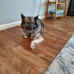 Stacey Bitner - @bitnerstacey - Instagram