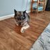 Stacey Bitner - Facebook