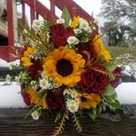 Stacey Nolan Kristiansen - @staceysbloomers - Instagram