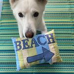 Stacey Bogart - @bogart6 - Instagram