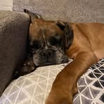 Stacia Boggs - Facebook