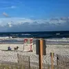 Stacey Boldt - @stacey.boldt - TikTok