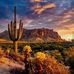 Stacy Boldt - Facebook
