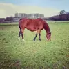 staceybosley975 - @staceybosley975 - TikTok
