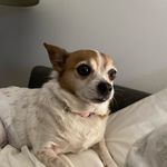 Stacey Combes Boyce - @boyce.stacey - Instagram