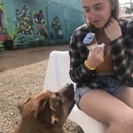 Stacey Boyle - @stacegean - Instagram
