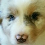 Stacy Striker-Brawley - @mommy_of_sasquatches - Instagram