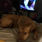 Stacey Brehm - Facebook