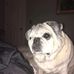 Stacy Brewster - Facebook