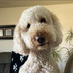 Stacey Browder - @luckyu229 - Instagram