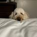 Stacey Browder - Facebook