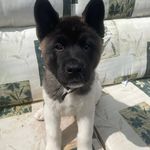 Stacey Buckley - @stacey11111980 - Instagram