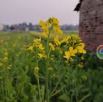 Stacey Burch - Facebook