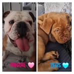 Stacey Burden - Facebook