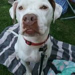Stacey Burdick - @dozergale - Instagram
