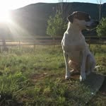 Stacey Burkhardt Jacobs - @thejacobspad - Instagram