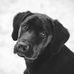 Stacie Burkhardt - Facebook
