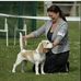 Stacey Burrows - Facebook
