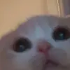 Stacy Calderón - @stacycaldern - TikTok