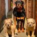 Stacey Cantrell - Facebook