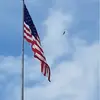 Stacey Carneyhan - @stacey.carneyhan - TikTok