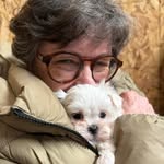Carol Anne Braswell Stacey - @carolannestacey - Instagram