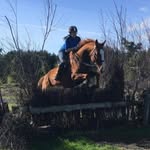 Stacey Carolan - @staceycarolan12 - Instagram
