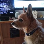 Stacey Case - @stacey.case.5268 - Instagram
