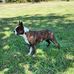 Stacey Chappell - Facebook