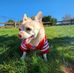 Stacy Chau - Facebook