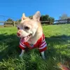 Stacy Chau - @stacy.chau - TikTok