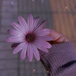 Stacey Cherry - @stacey_cherry14 - Instagram