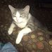Stacey Childs - Facebook