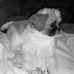 Stacey Chilton - Facebook