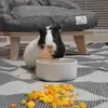 mental_pavlova - @staceycleary4 - TikTok