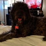 Stacey Coe - @staceyc1005 - Instagram